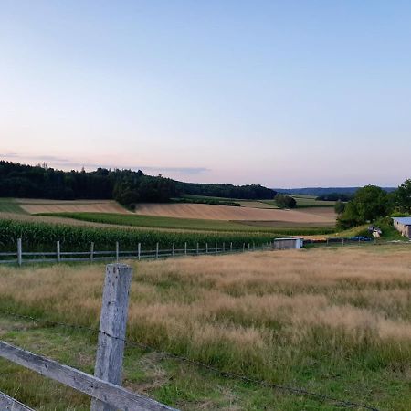 Bed and Breakfast Bett'N Glueck - Uebernachtung & Fruehstueck Zusmarshausen Exteriér fotografie